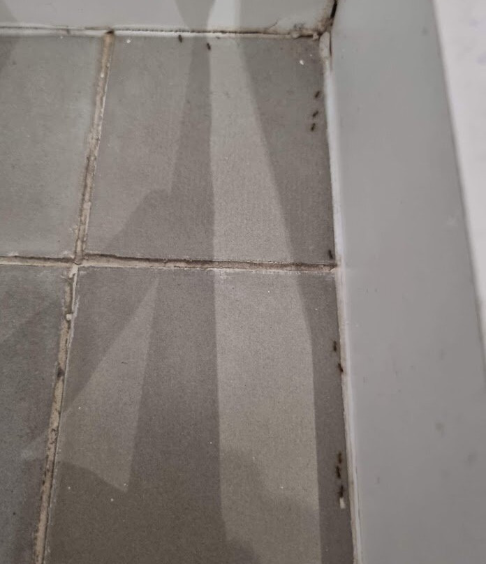 克里斯蒂娜西贡公寓主图