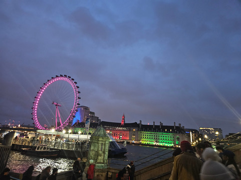 Westminster Party Boats-伦敦必去景点