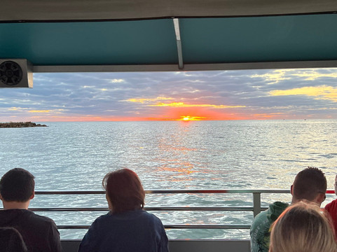 Encounters With Dolphins-克利尔沃特必去景点