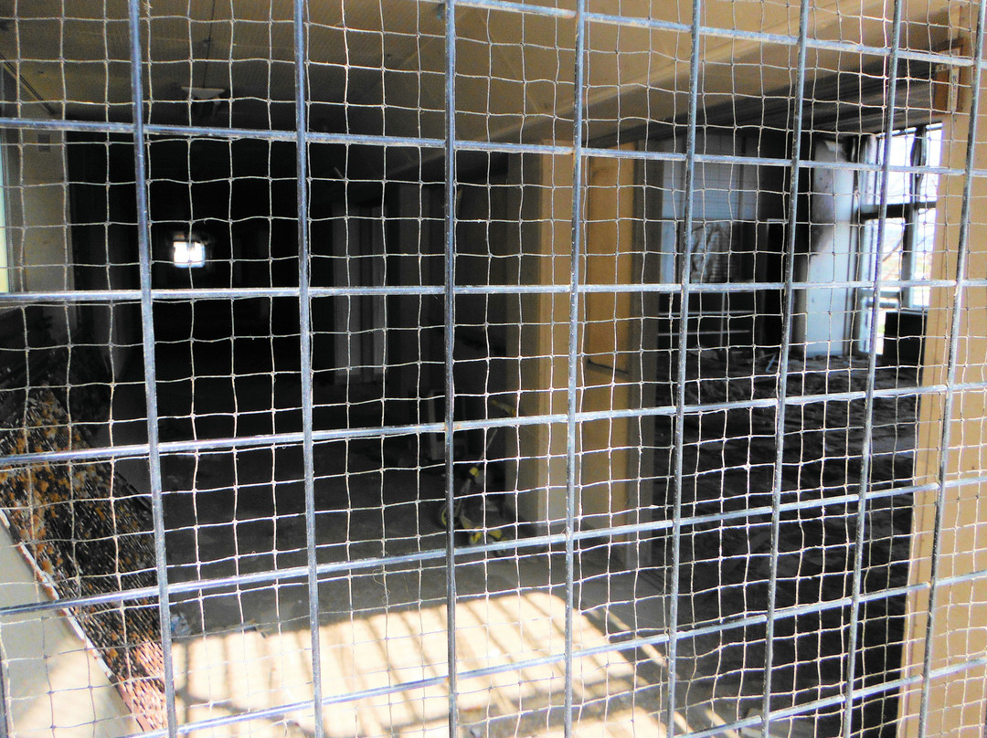 Ishinomaki Tsunami Ruins Kadonowaki Elementary School-石卷市必去景点