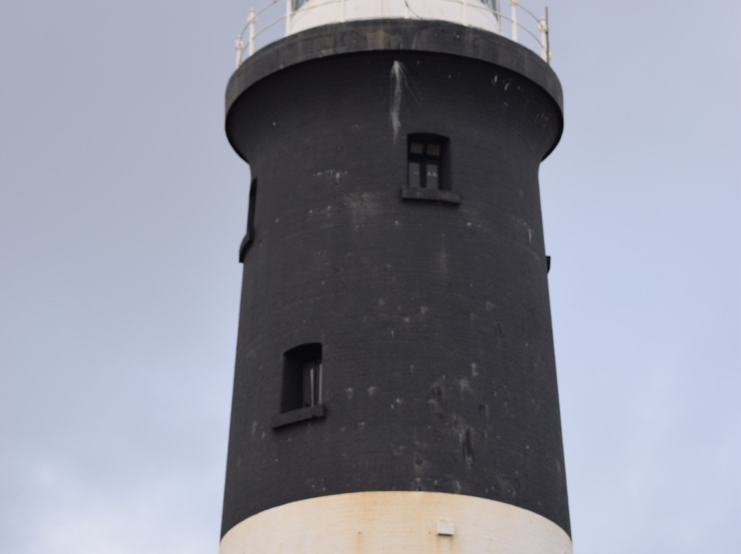 Spurn Discovery Centre景点图片