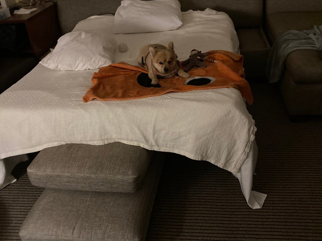 Hyatt Place Charleston Airport/Convention Center主图