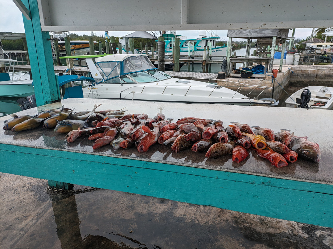 Paulie's Fishing Charters & Adventures景点图片