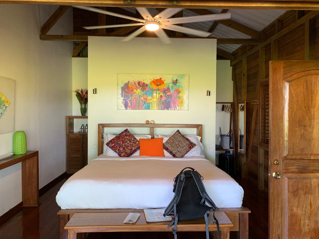 The Hummingbird主图