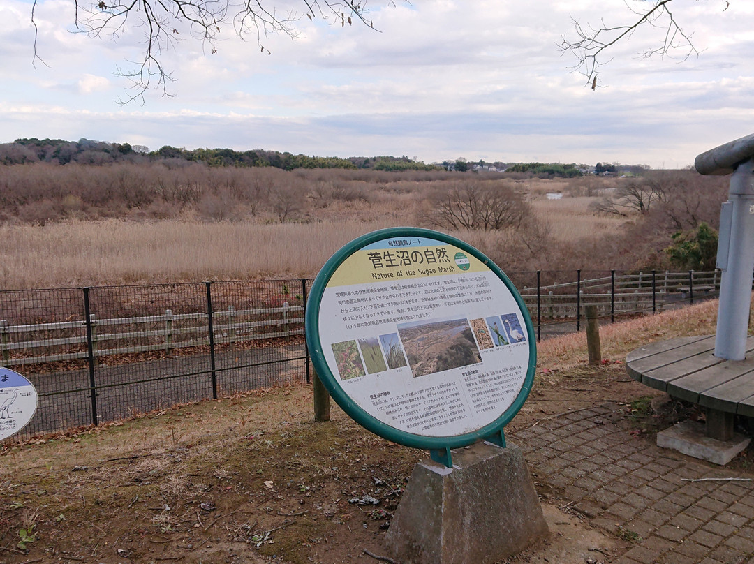 Sugaonuma-常总市必去景点