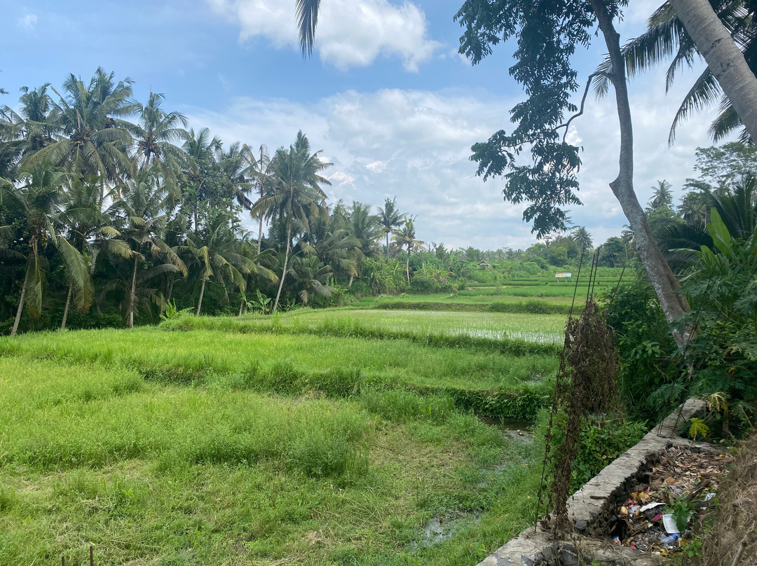 Traveling Spoon-乌布必去景点