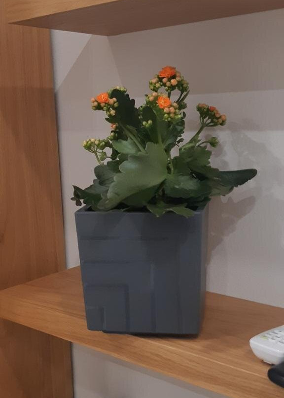 Revive Boutique Hotel