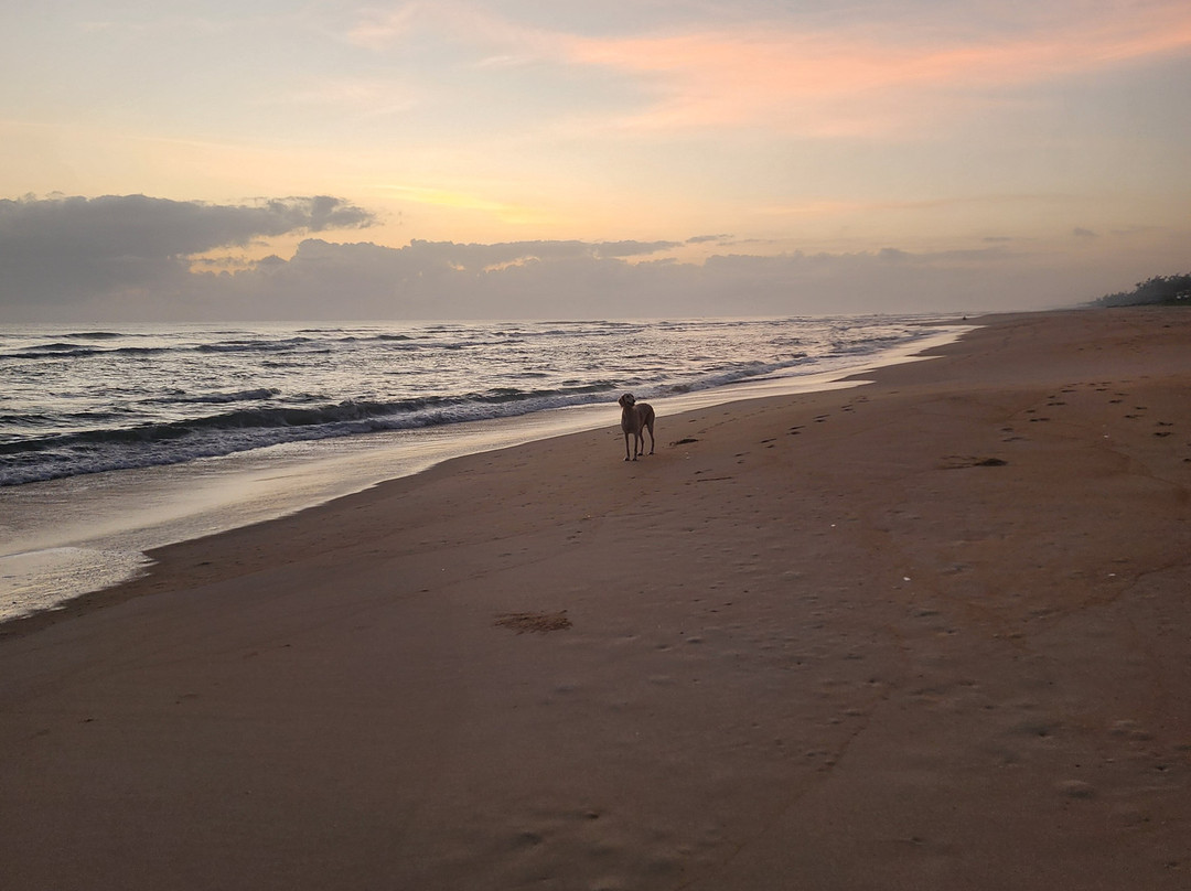 Tam Thanh Beach-Tam Ky必去景点