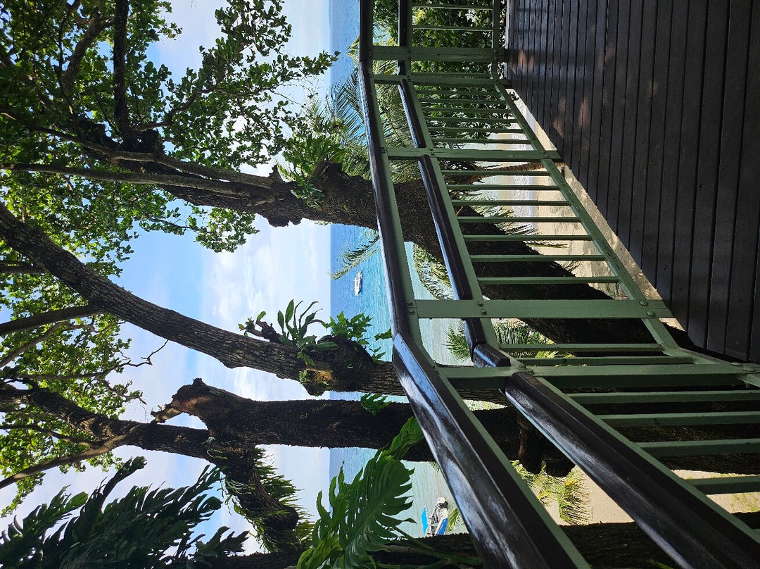 Rabaul Scenic Tours景点图片
