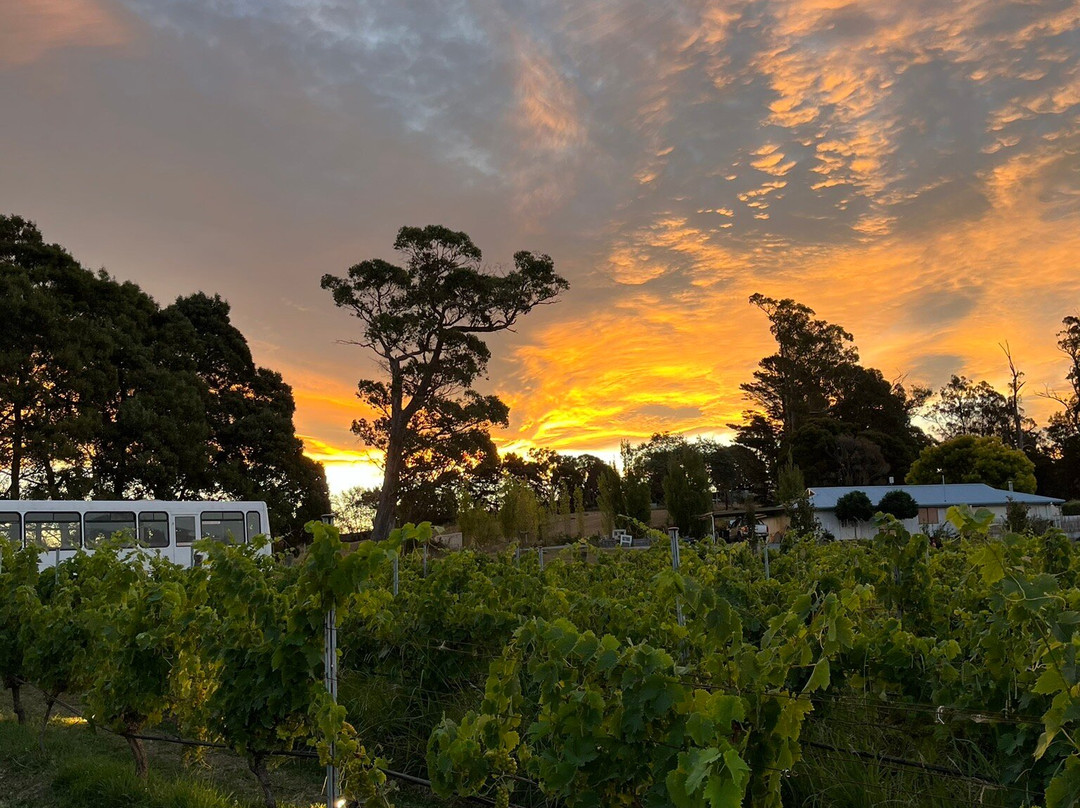 Domescapes in the Vines主图