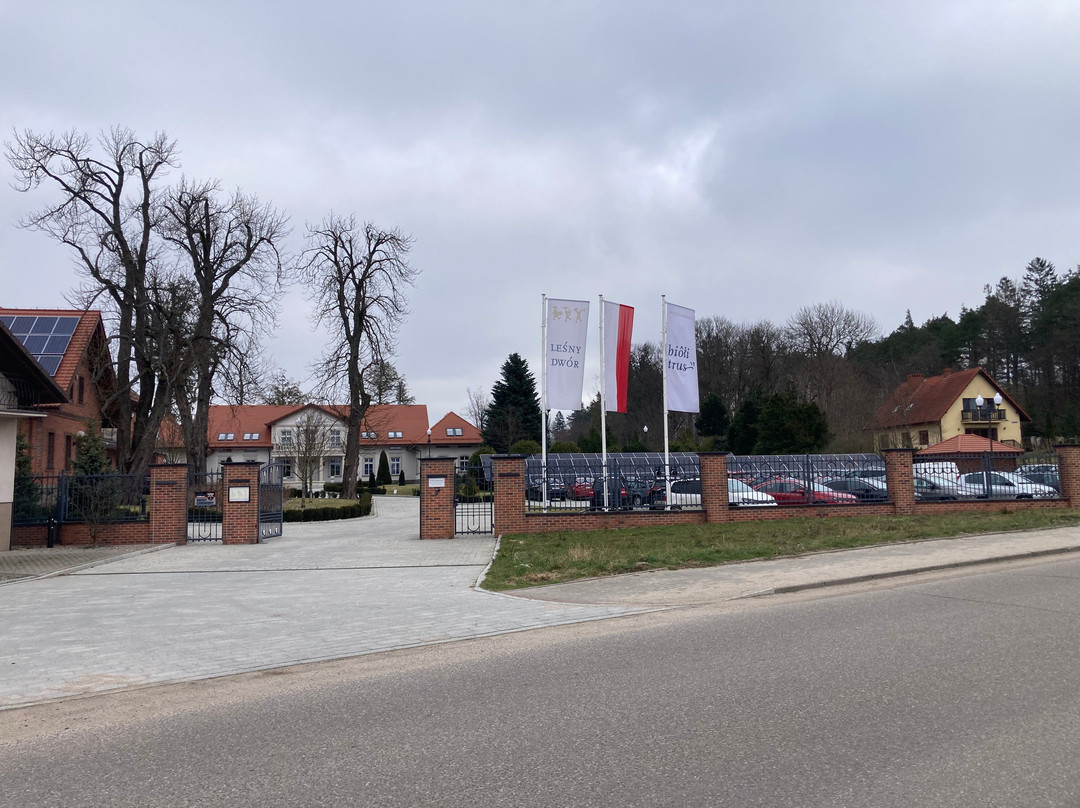 Leśny Dwór主图