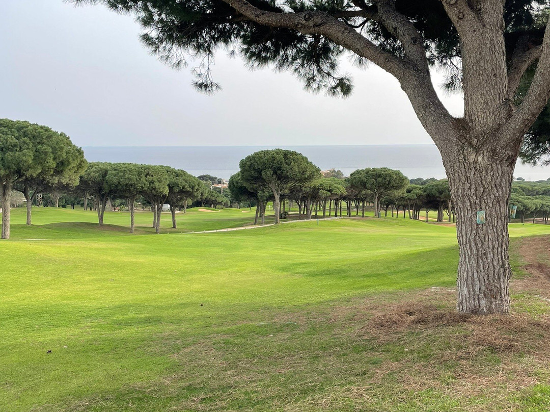 Cabopino Golf Marbella景点图片