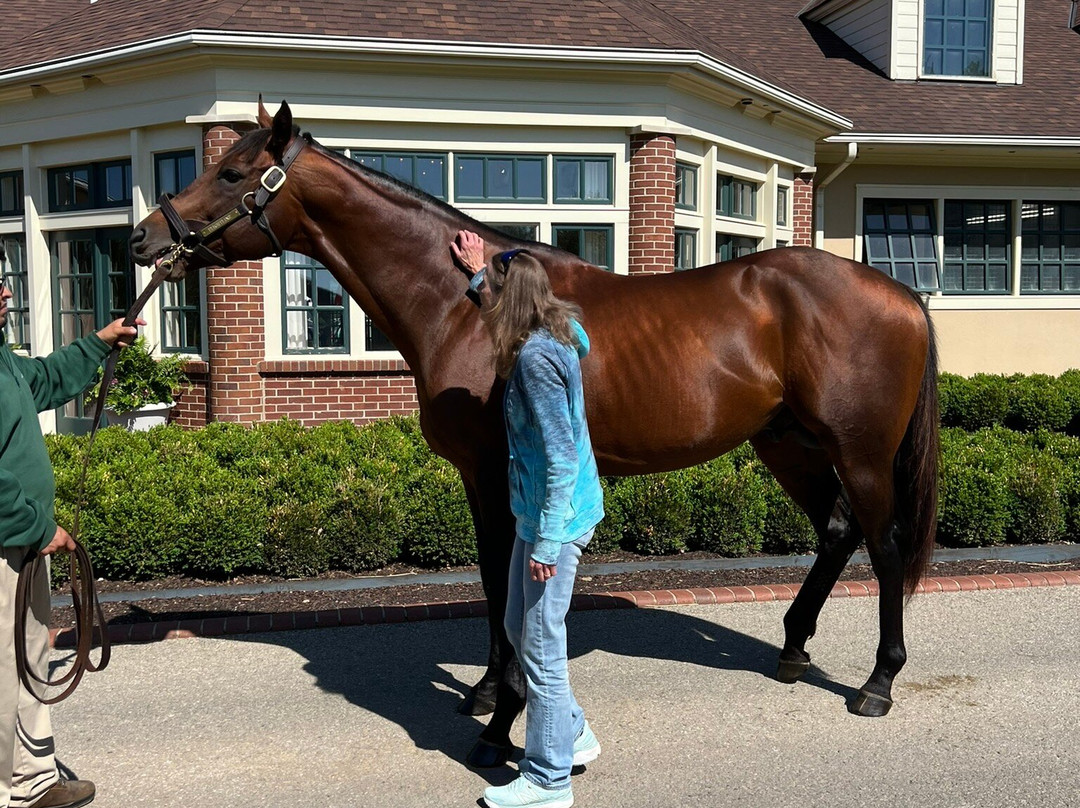 Lane's End-Versailles必去景点