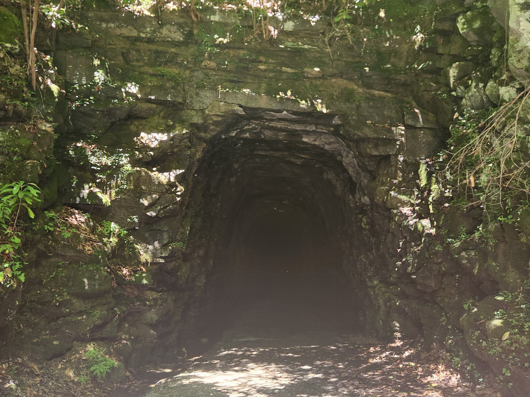 Stumphouse Mountain Tunnel景点图片