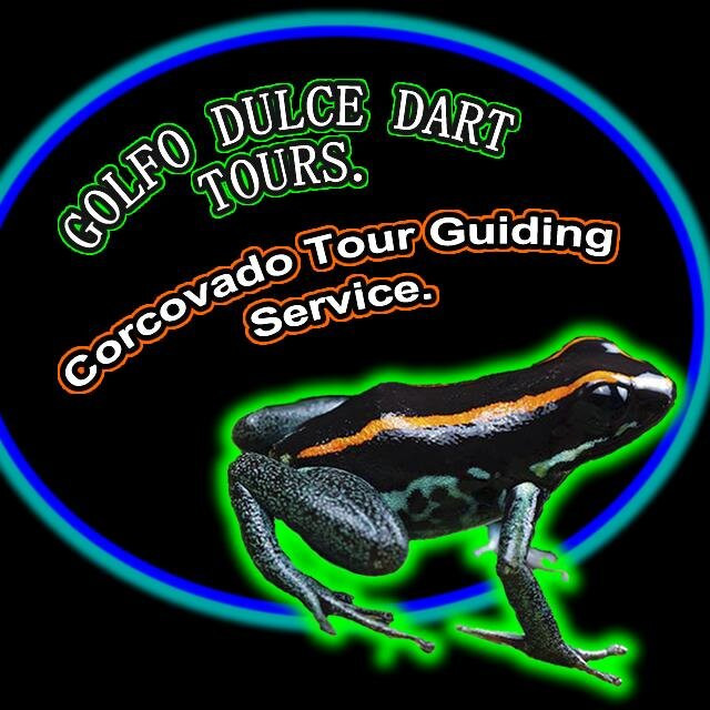 Corcovado Tour Guiding Services景点图片