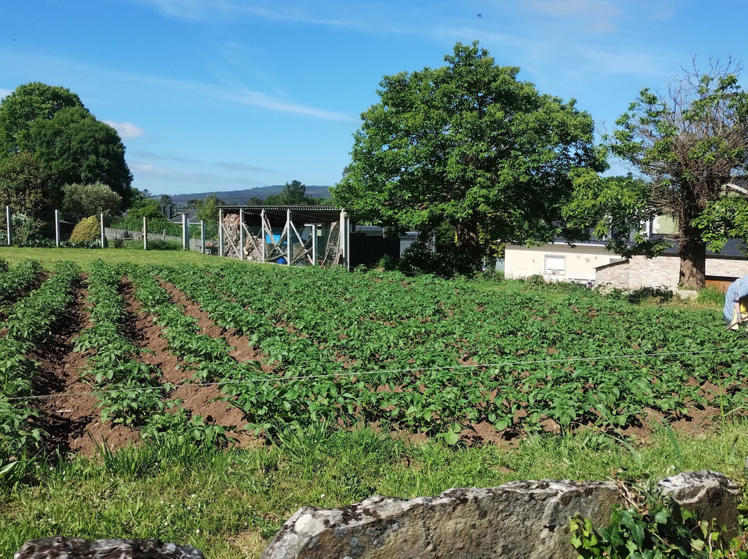 Ruta Trimaz-cabreiros-Xermade必去景点