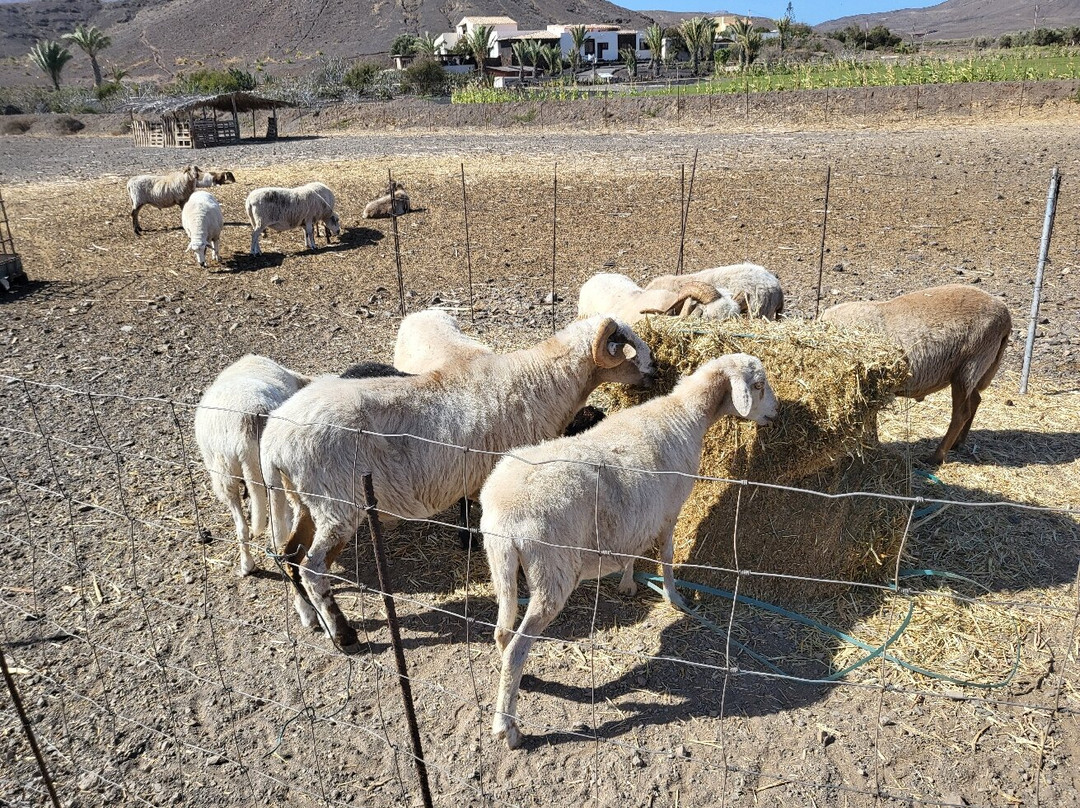 Verdeaurora Bio Farm-富特文图拉必去景点