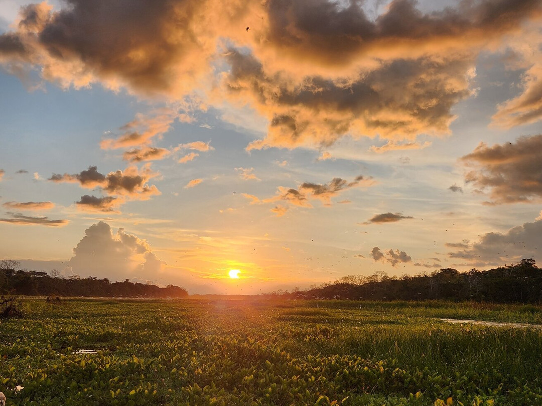 Muyuna Amazon Lodge Experience景点图片