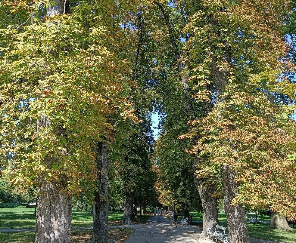 Maribor City Park景点图片