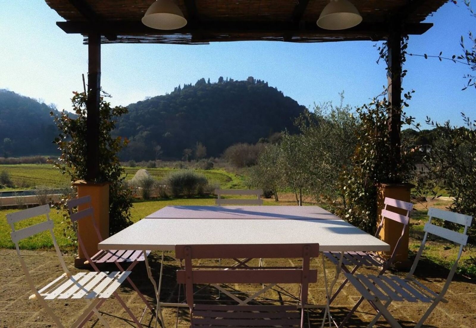 Podere L'Olmaia-官方