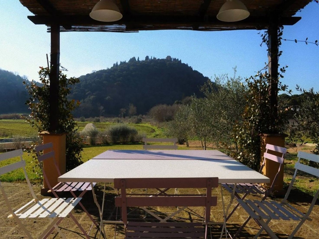 Podere L'Olmaia主图