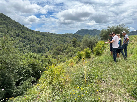 France Azur Excursions-尼斯必去景点