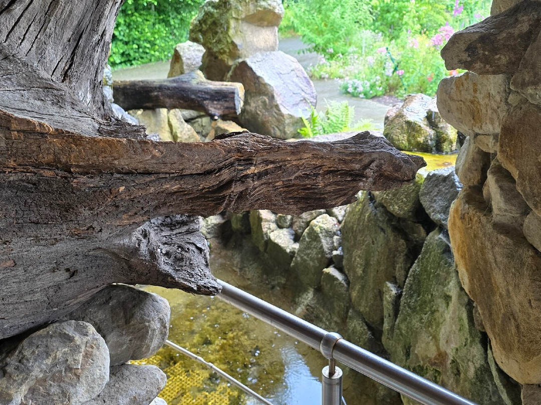 NaturaGart-Ibbenbueren必去景点