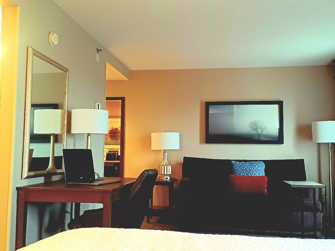 亚历山德里亚老城区南希尔顿恒庭旅馆&套房酒店主图