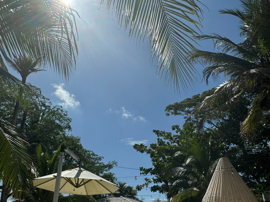 Quinta del Mar El Paraiso主图