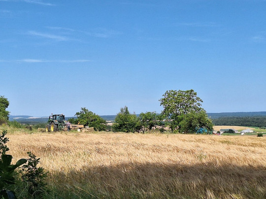 Colombey les Deux Eglises-Cely必去景点