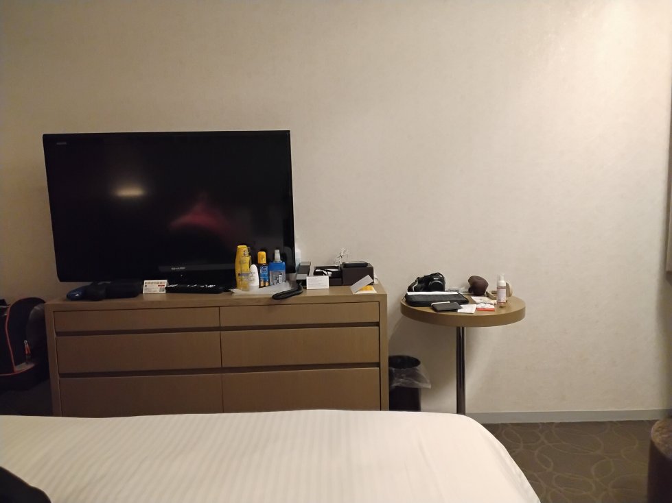 格拉斯丽银座酒店-客卧