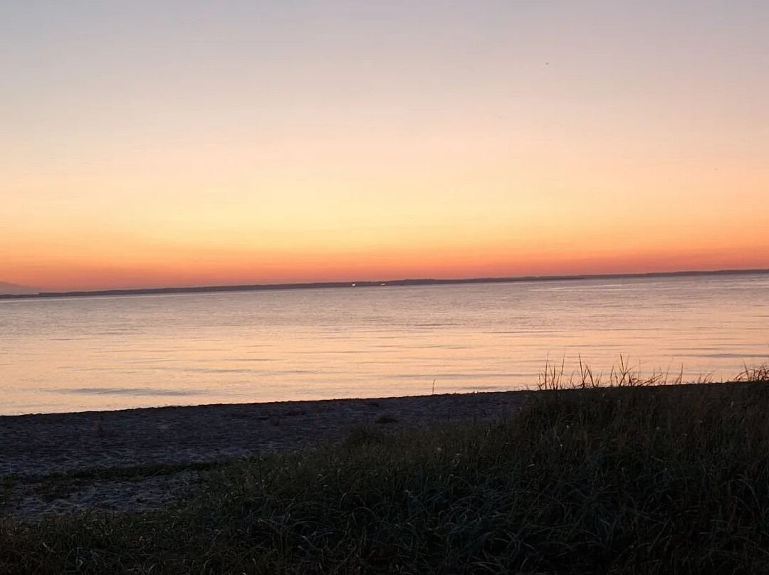 Varbjerg Havn-Brenderup必去景点