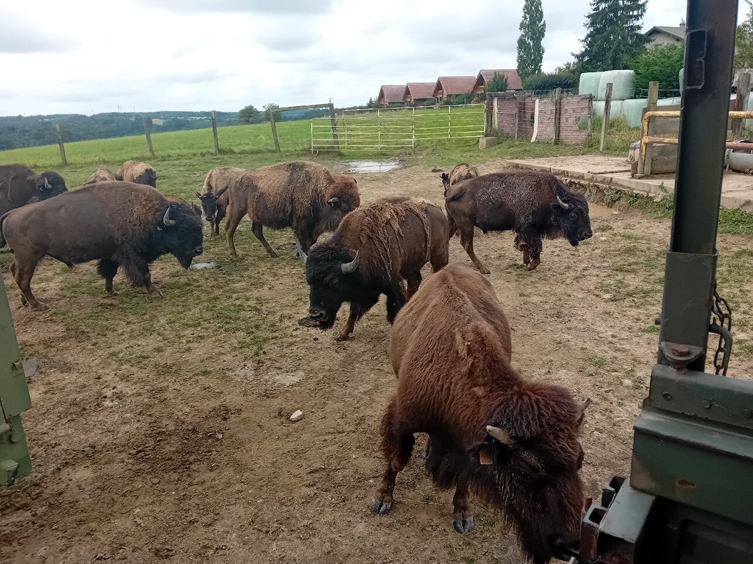 Ranch des Bisons景点图片