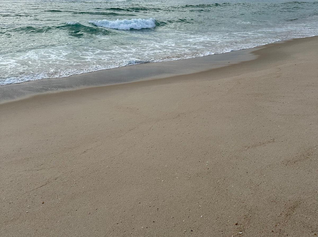 Praia de Sao Jacinto景点图片