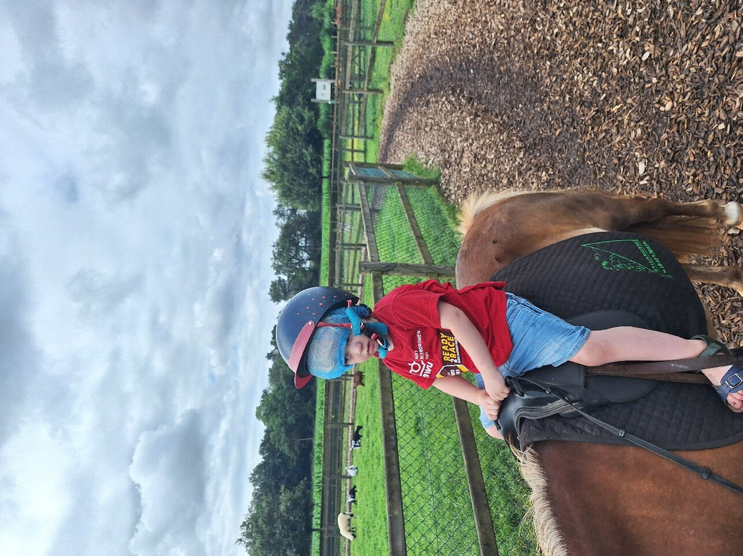 Den Scherpenberg Kinderboerderij