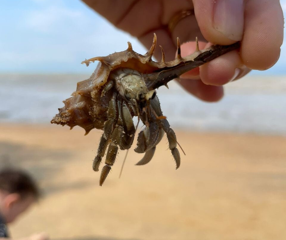 Eagle Ranch Resort主图