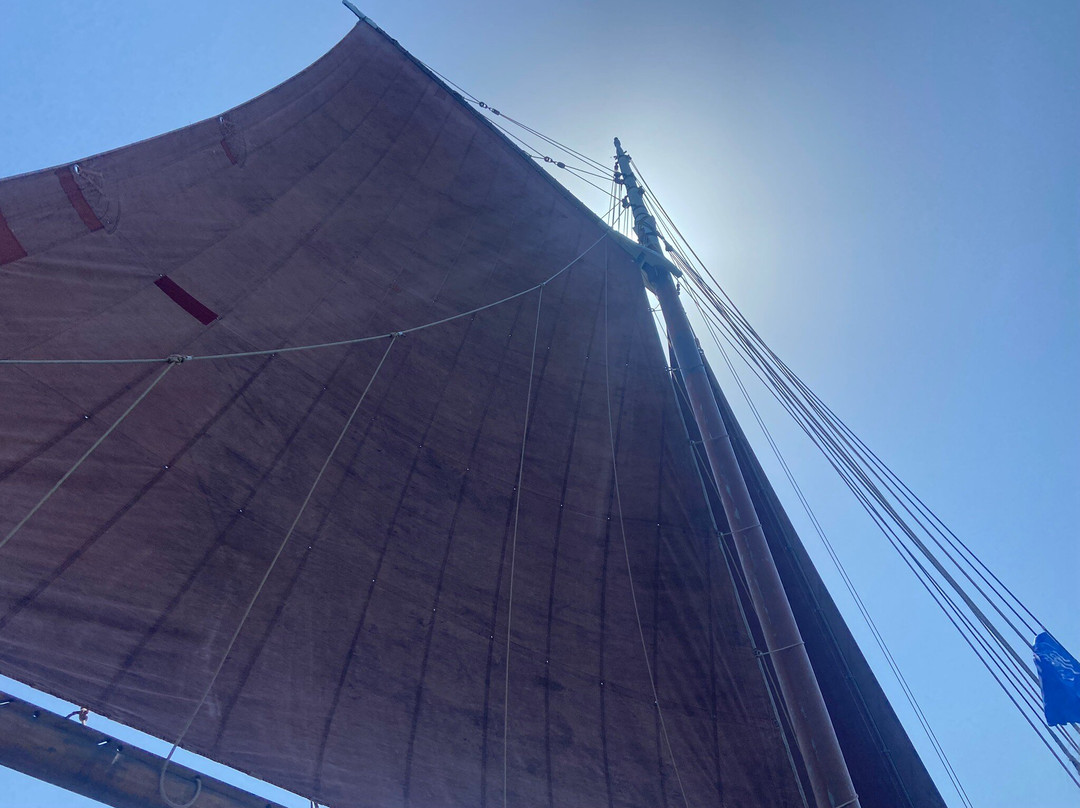 LES VOILES DU GOLFE_ BATEAU ANDRE YVETTE景点图片