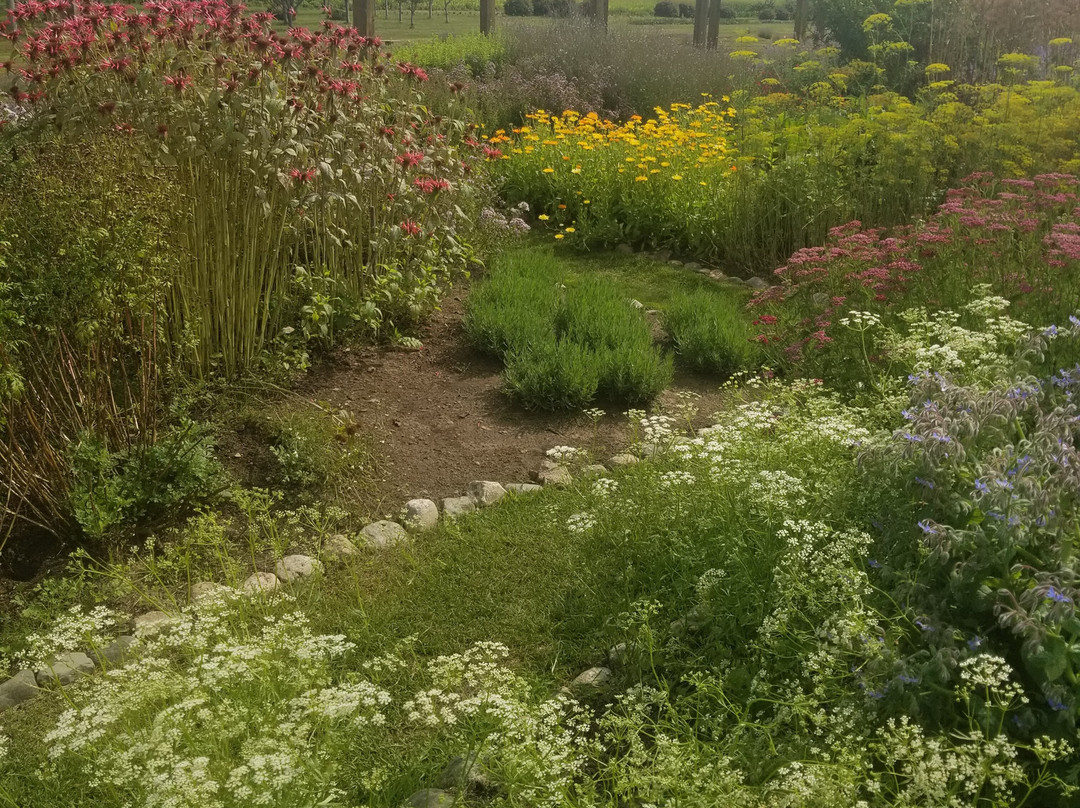 Cherry Point Farm and Market景点图片