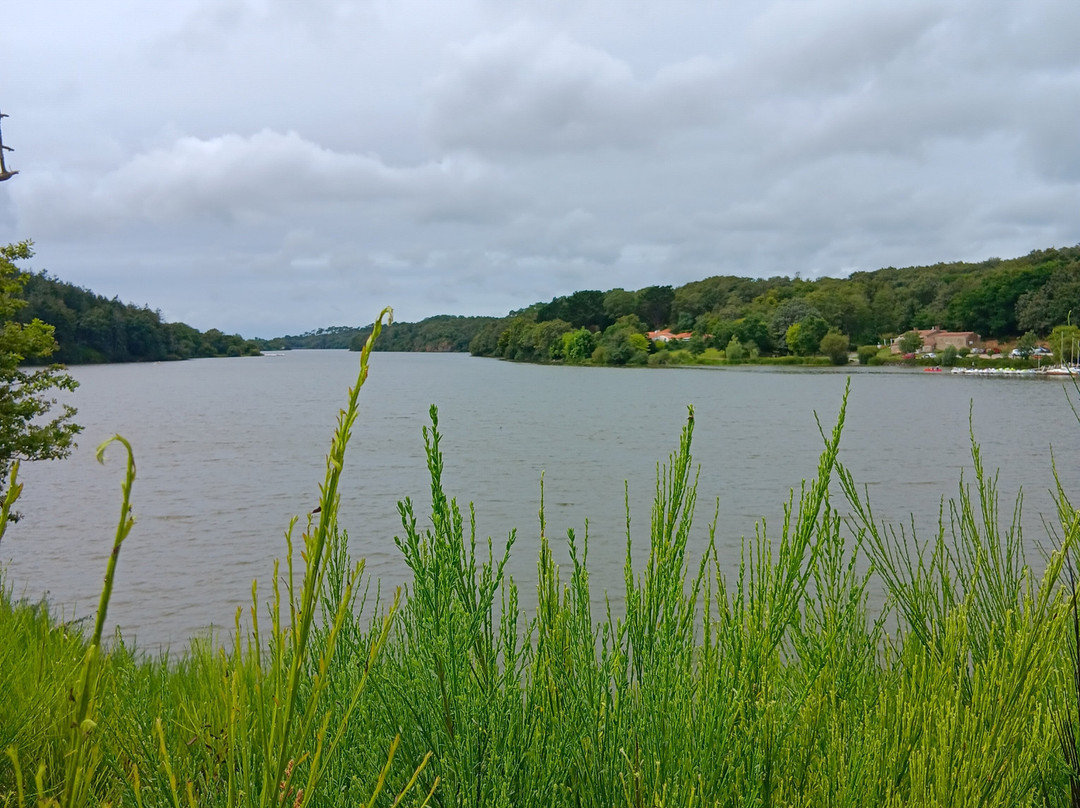 Le Lac Du Jaunay景点图片