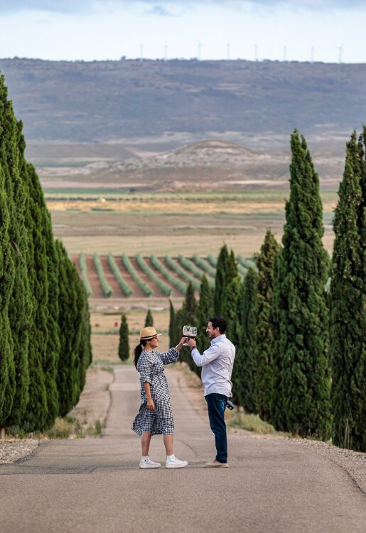 Bodega Pago de Cirsus主图