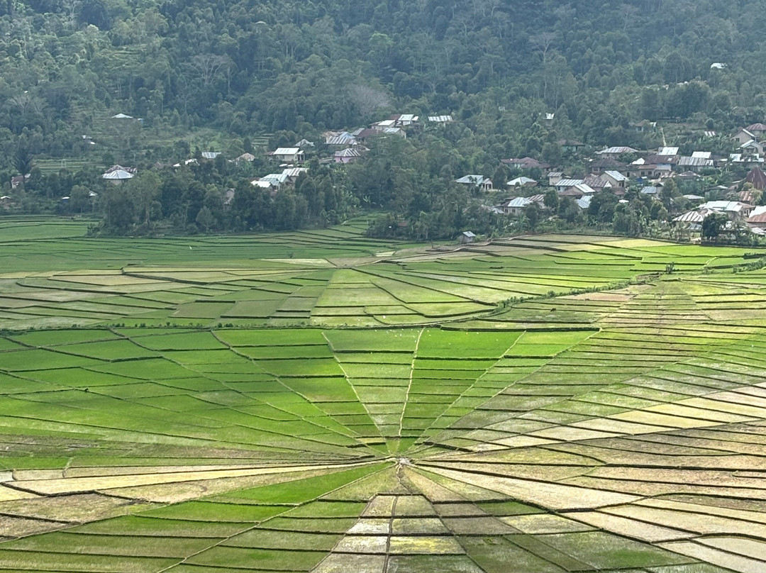 Travelino Flores景点图片