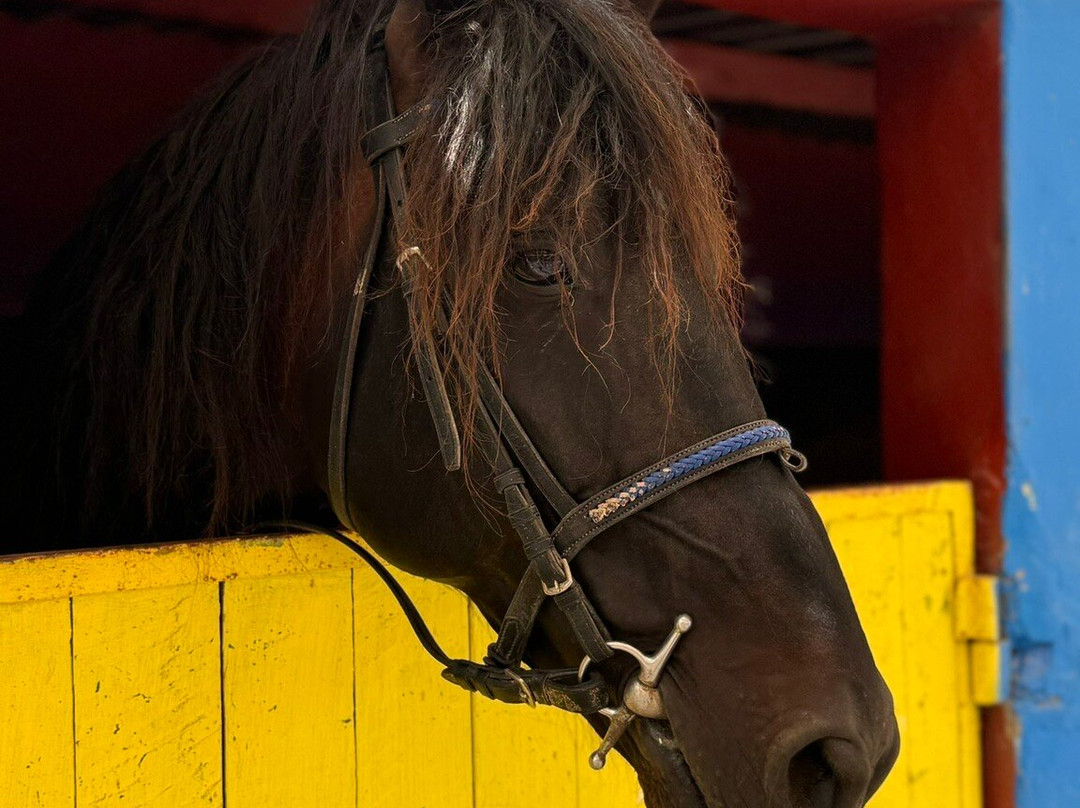 Ranch Aftass-索维拉必去景点