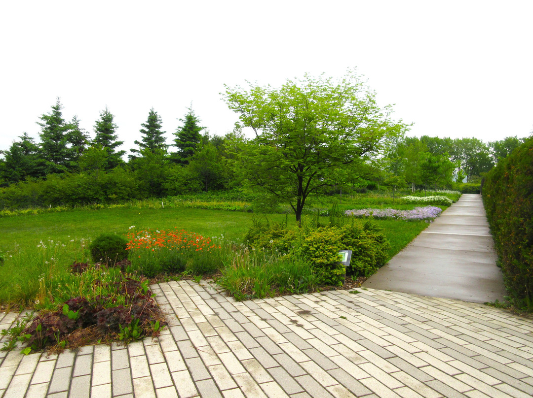 Jardin de François-Baie-St-Paul必去景点