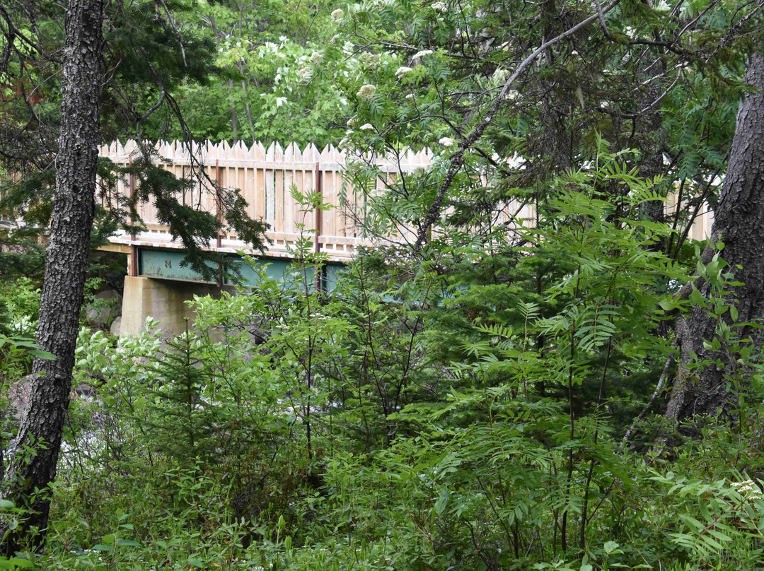 Middle Brook Trail景点图片