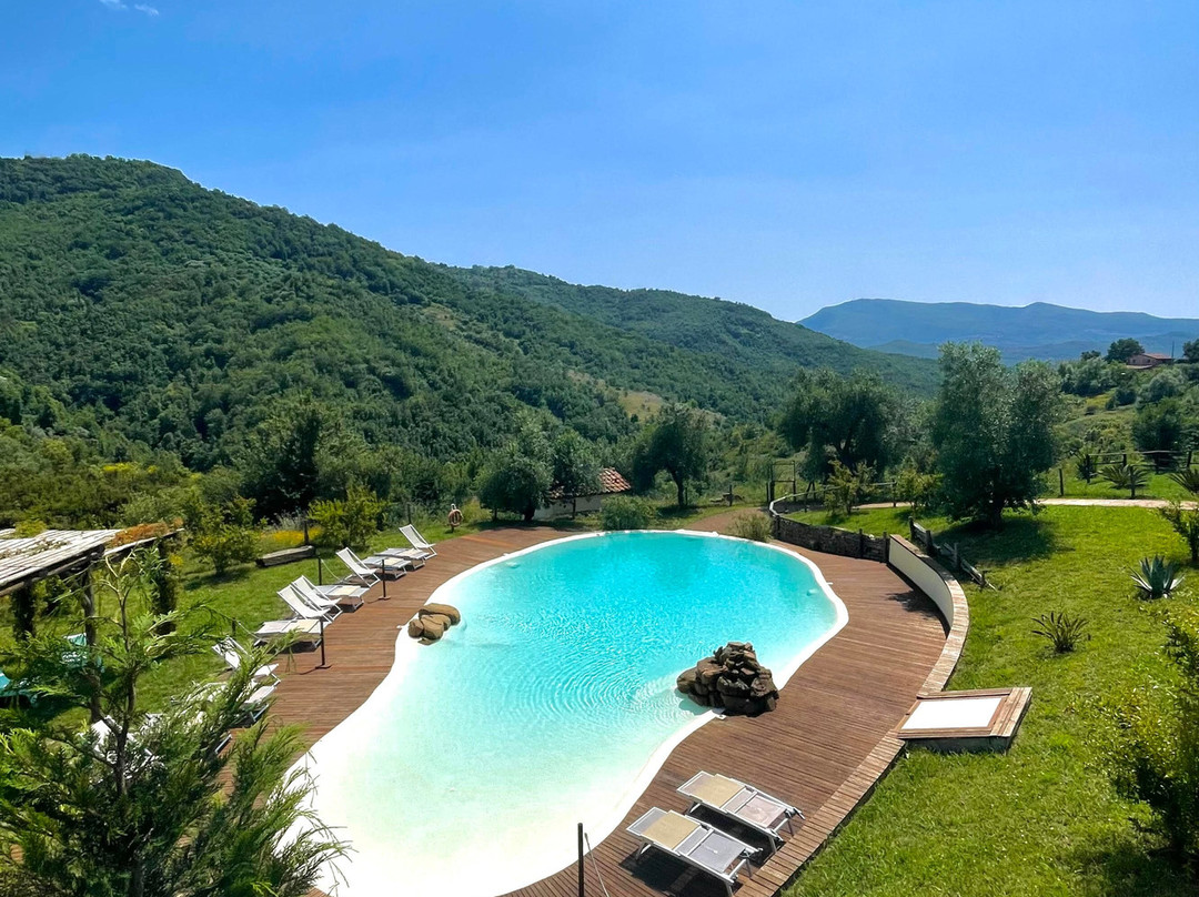 Azienda Agricola Piano di Andrea主图