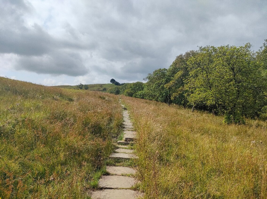 Gisburn Forest And Stocks景点图片