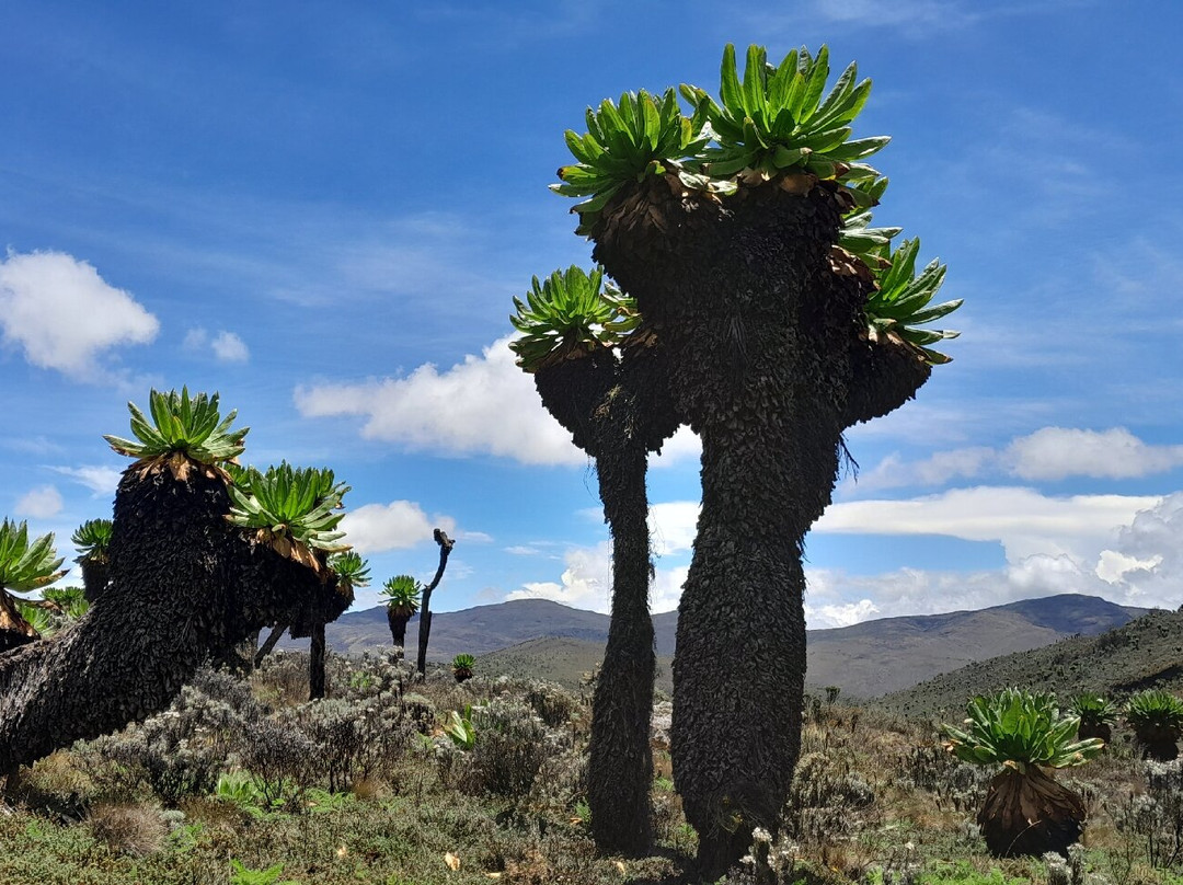 Mt. Elgon National Park-Eastern Region必去景点