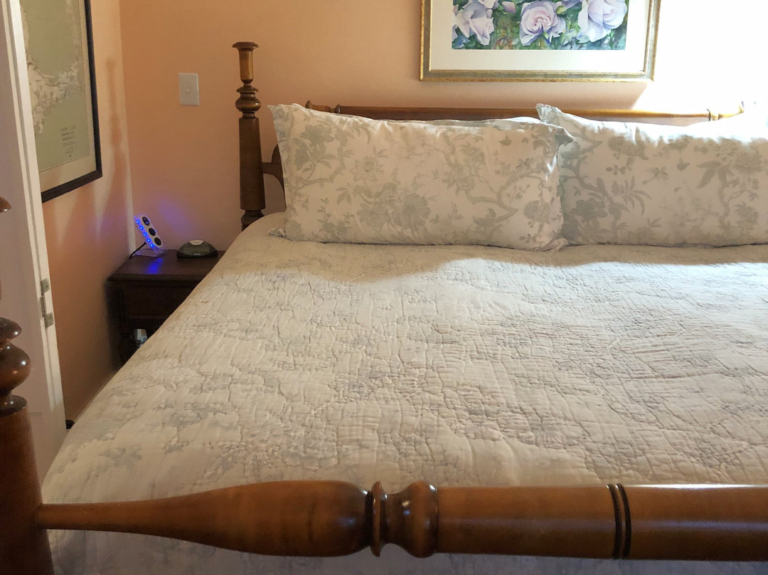 Delano Homestead Bed and Breakfast主图