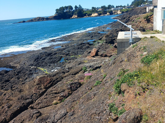 The Whale Watching Center-Depoe Bay必去景点