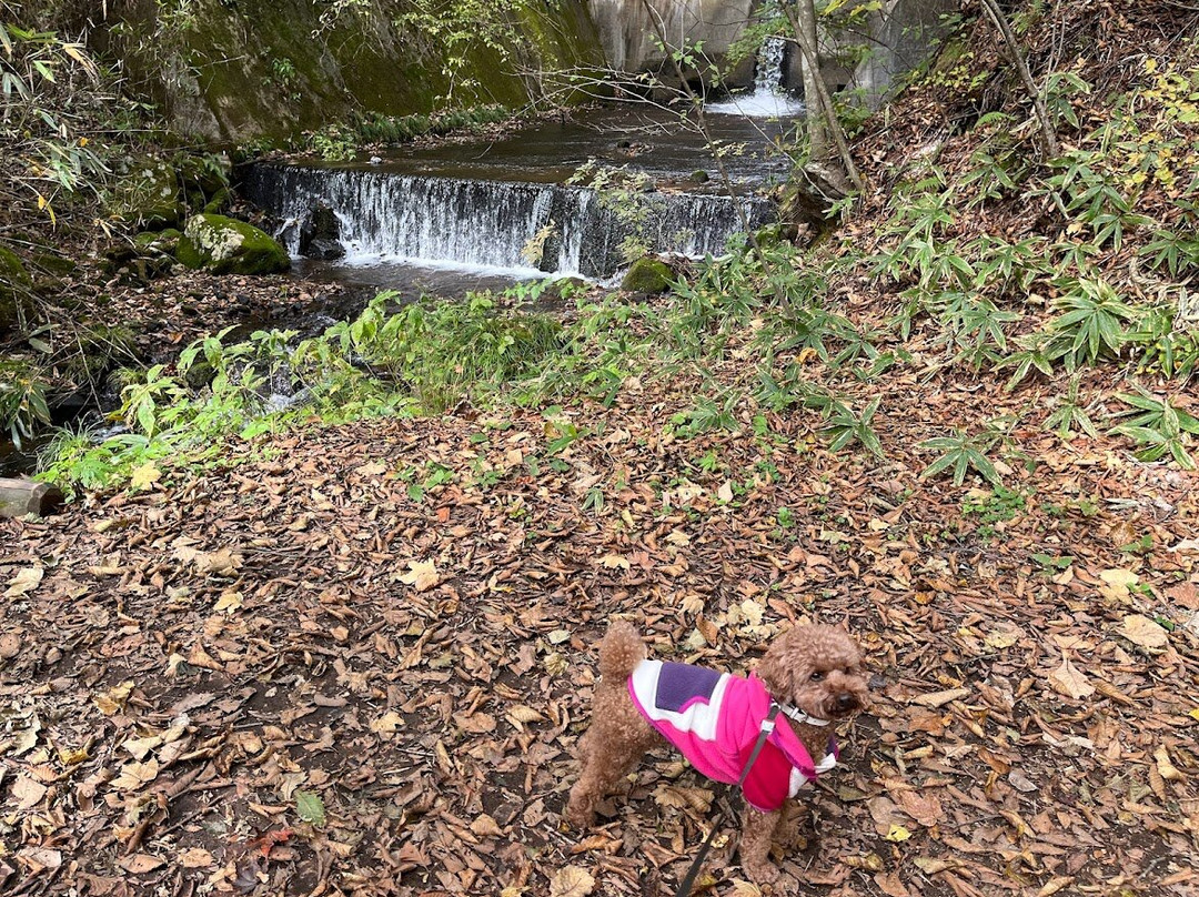 Nasu Nature Study Paths-那须町必去景点